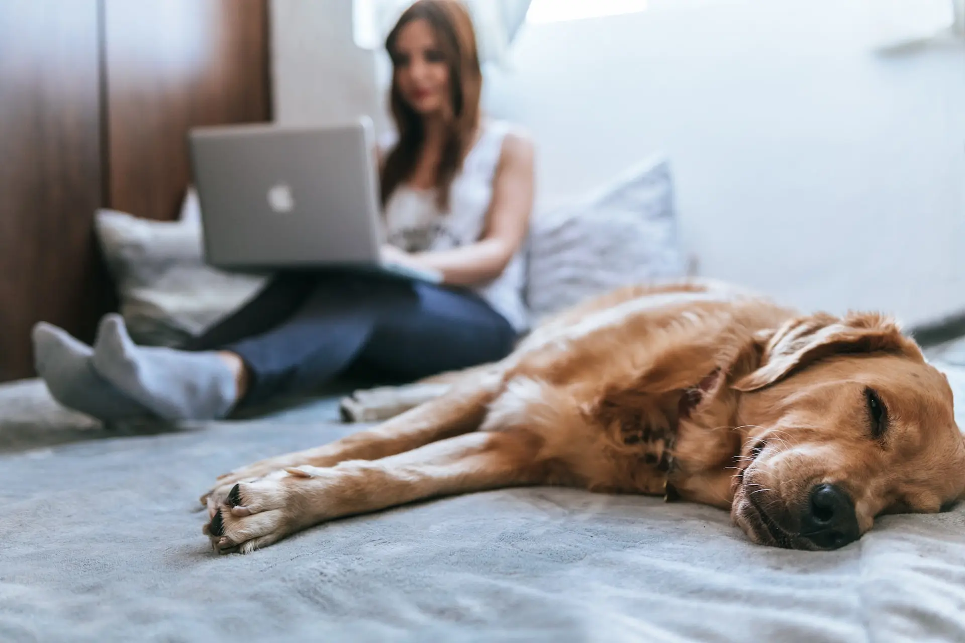 what internet speed do i need to work from home