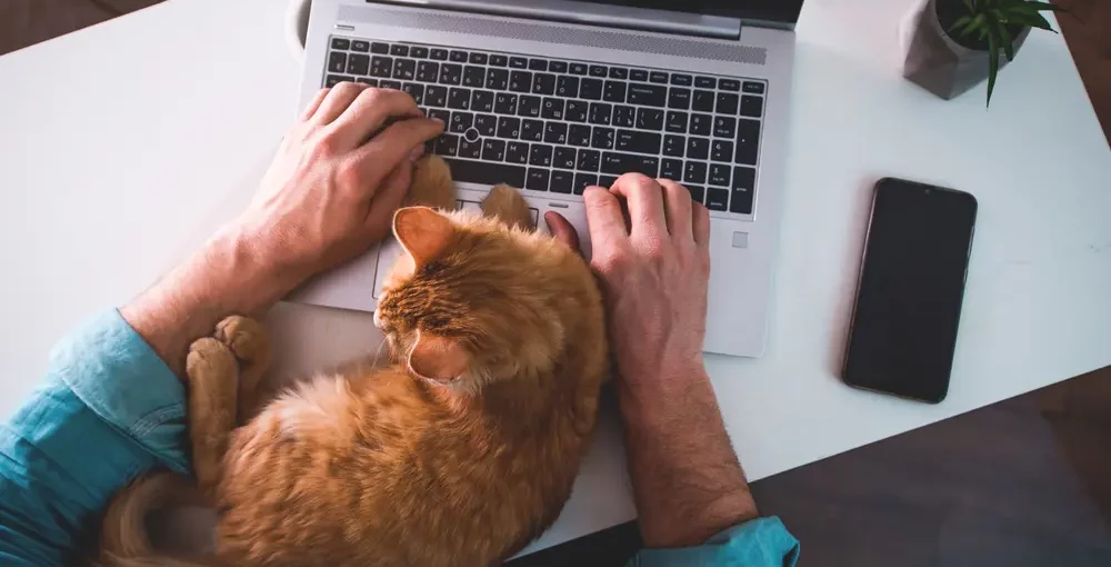reasons to work from home