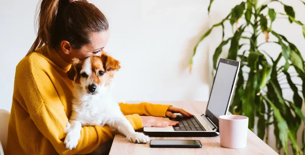 best technology you need for your pet
